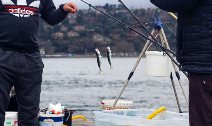 What Happens on A Typical Fishing Charter Day on The Sea?