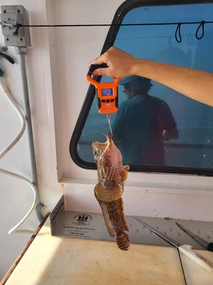 FB-IMG-1739986255382-2