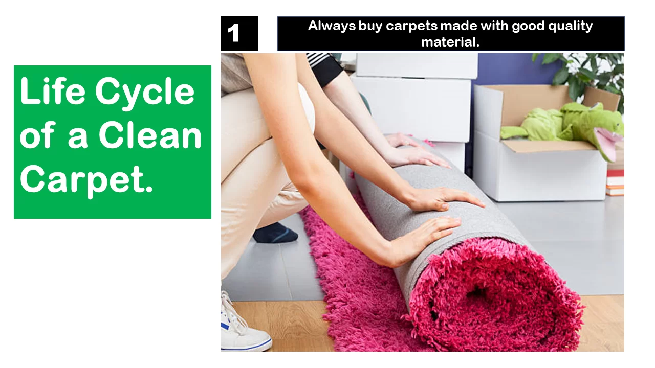 clean carpet in florida