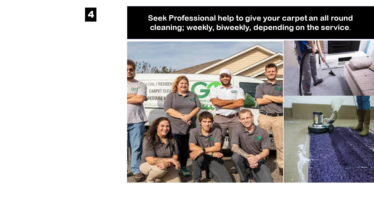 clean carpet in florida