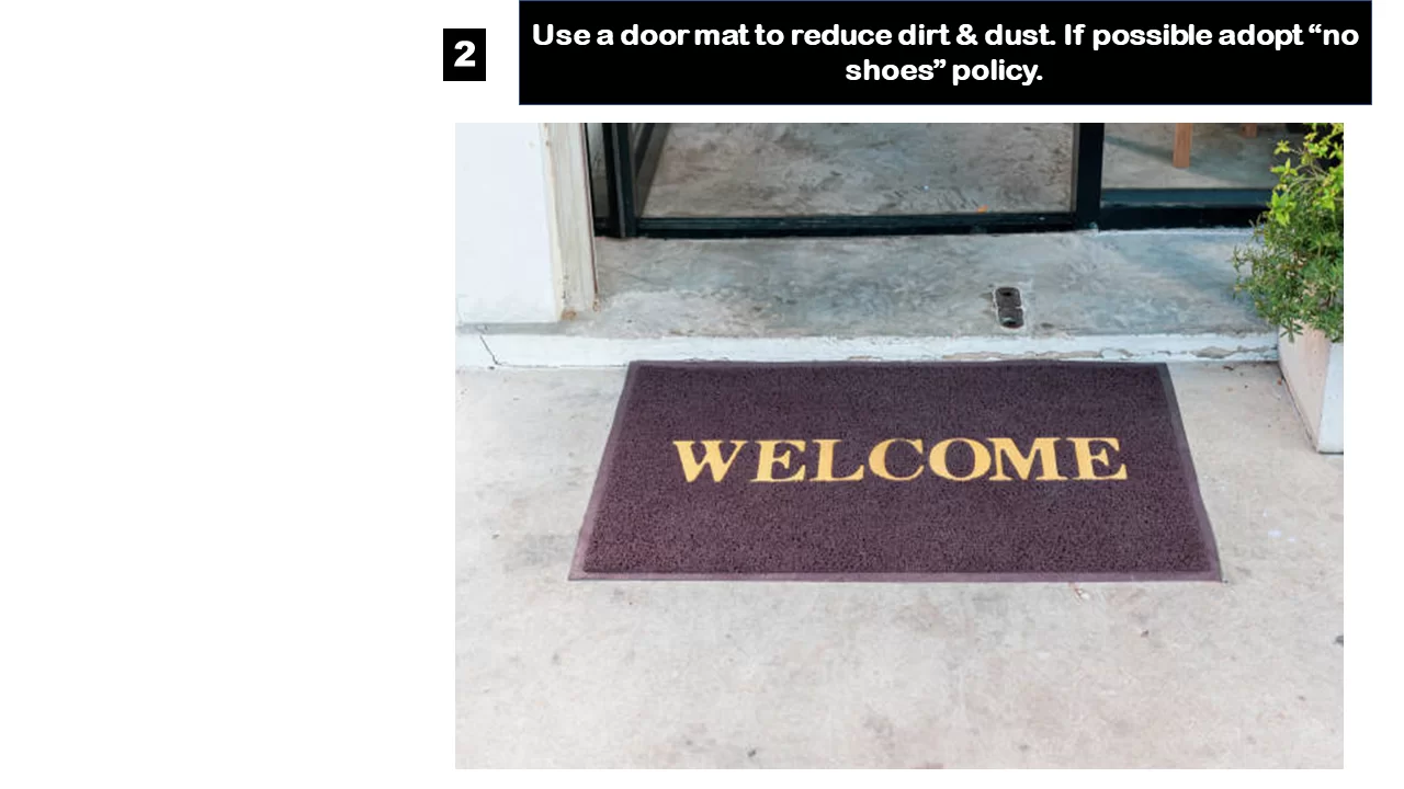 clean carpet in florida