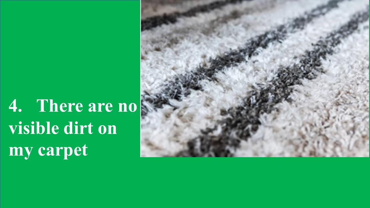 carpet cleaning